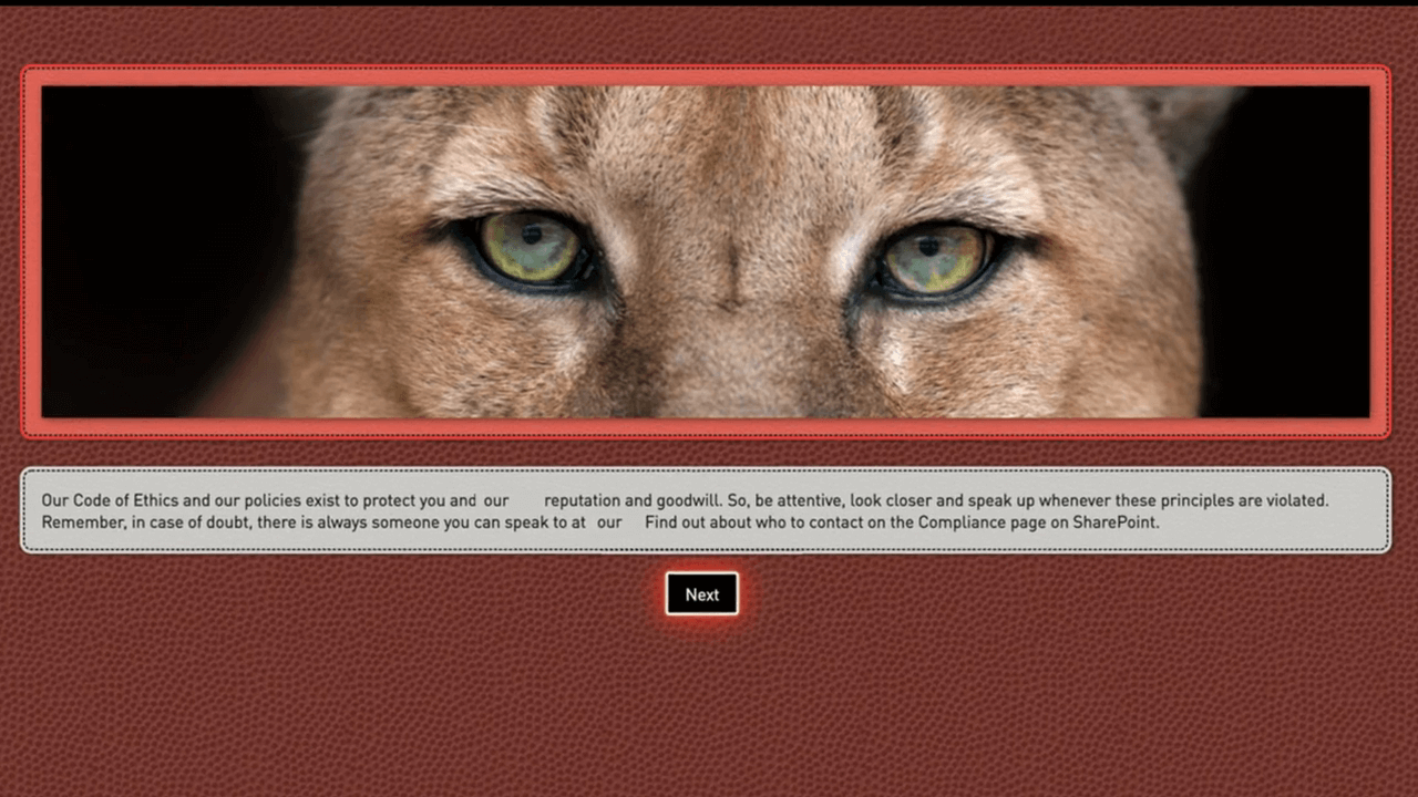 Bespoke Video Demo Thumbnail